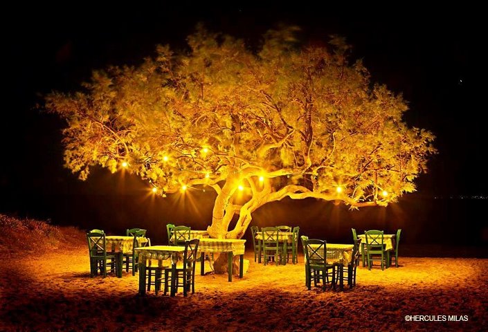 Naxos Taverna ''Under the Tree''at Maragas beach Greece
